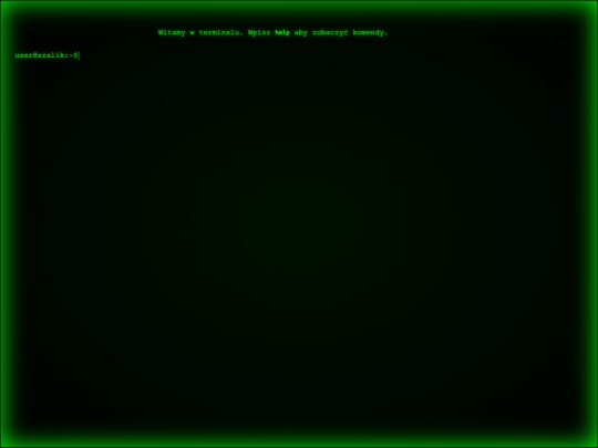 terminal screenshot
