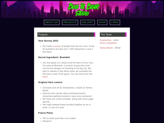 projects screenshot