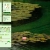 frogstalgia.neocities.org avatar