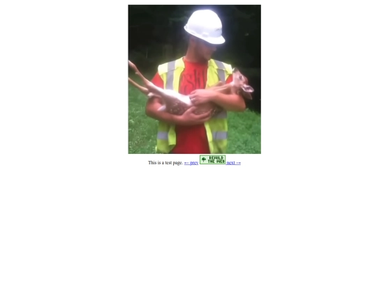 test screenshot