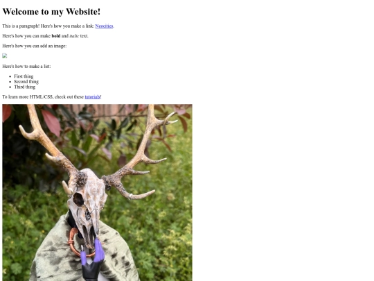 testpage screenshot