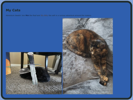 cats screenshot