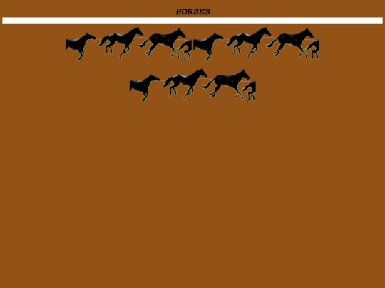 horses screenshot