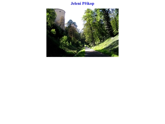 IVT/prikop screenshot
