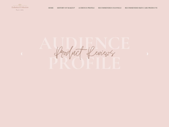 Audience profile screenshot