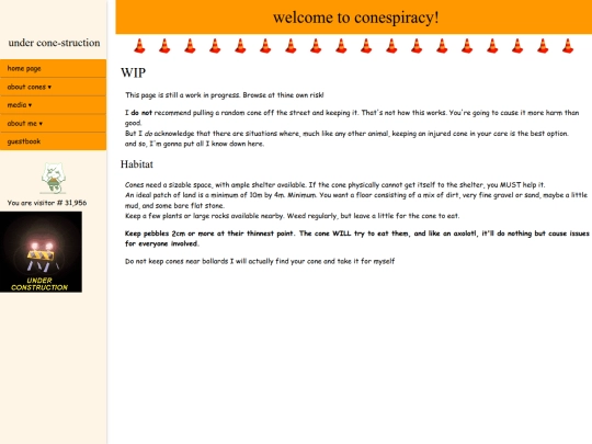 conecare screenshot
