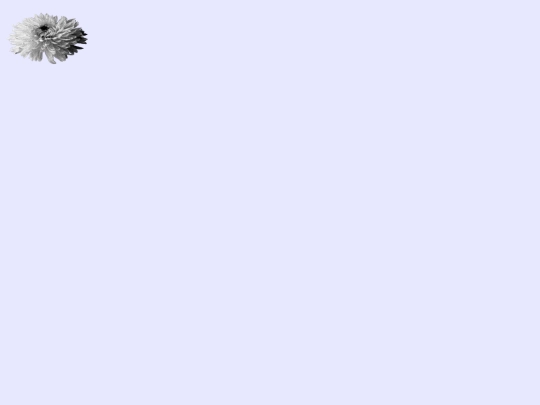 Portfolio screenshot