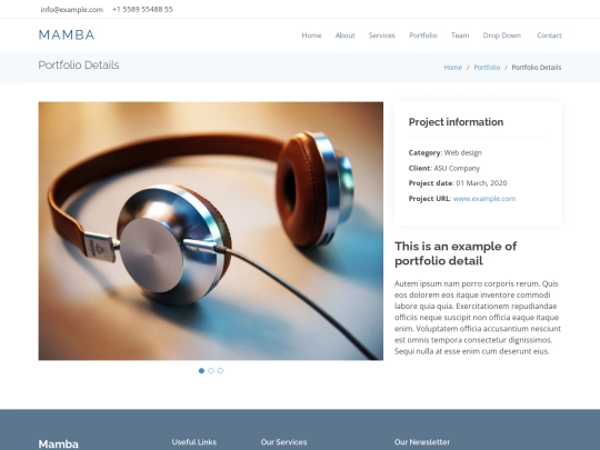 portfolio-details screenshot