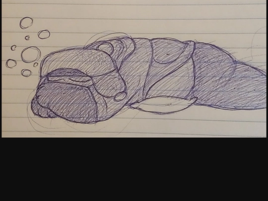 bencramps screenshot