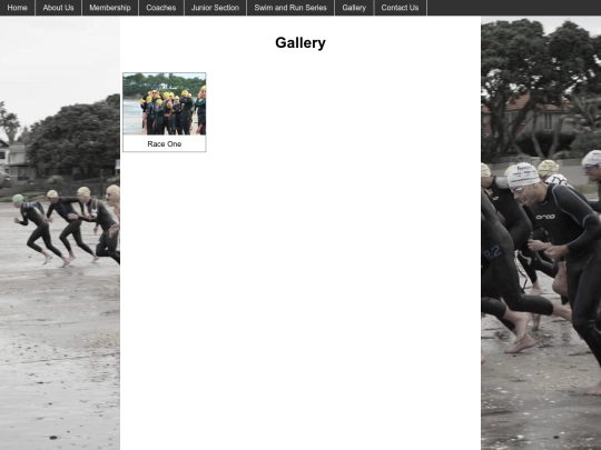 index/gallery screenshot