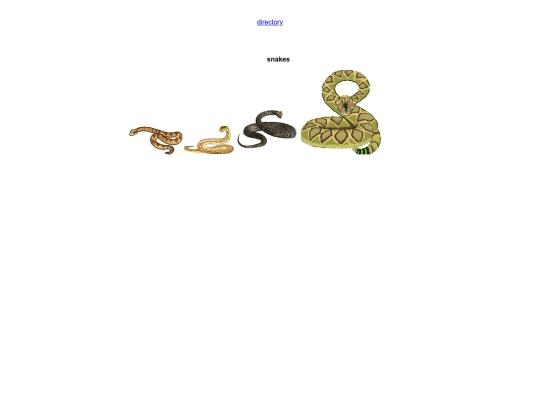 graphics/reptiles screenshot
