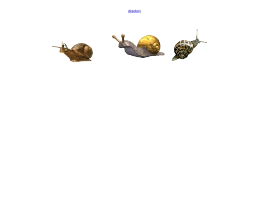 graphics/snails screenshot