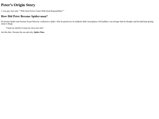 1stWebsiteAssignment screenshot