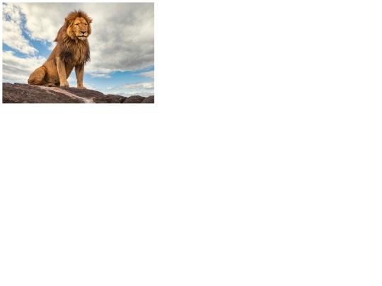 newfile screenshot