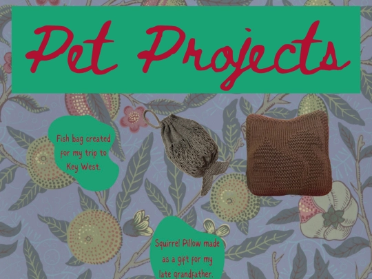projects screenshot