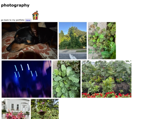 photography screenshot