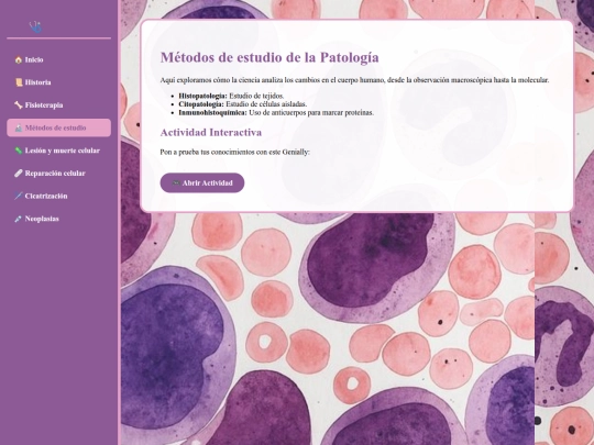 estudio screenshot