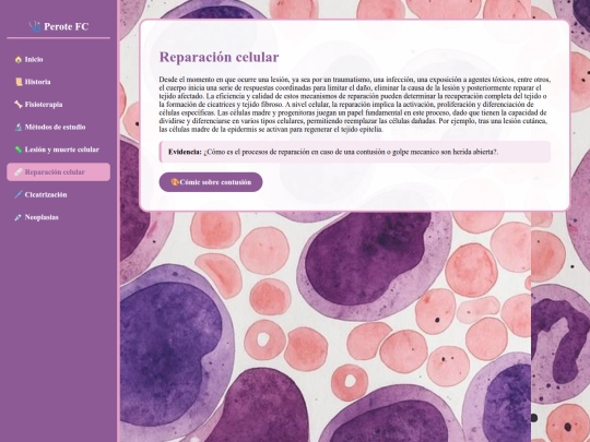 reparacion screenshot
