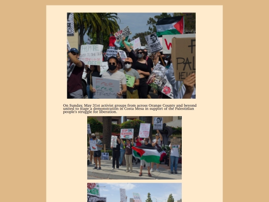 archive/2025-06-01-ARTICLE-Orange-County-Activists-Unite-For-Palestine screenshot