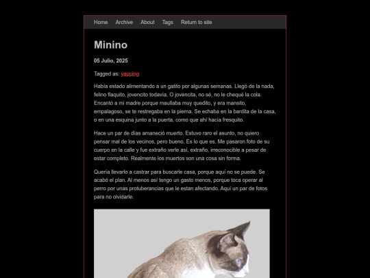 blog/posts/2025-07-05-Minino screenshot