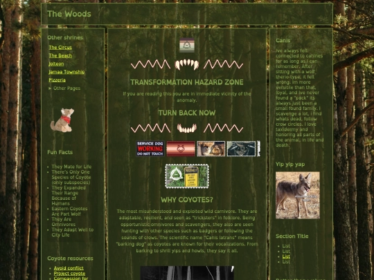 coyote screenshot