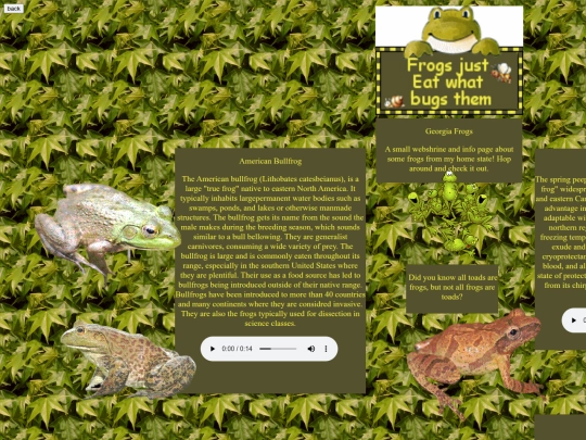 frog/frog screenshot