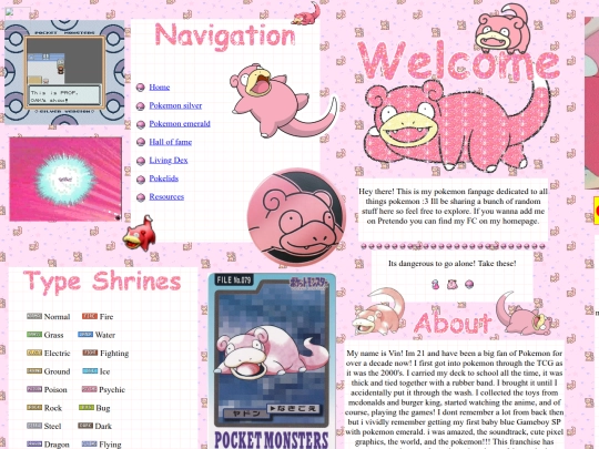 pkmn/pkmn screenshot
