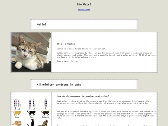 main/cookie screenshot
