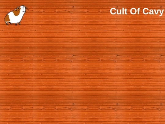 banner screenshot