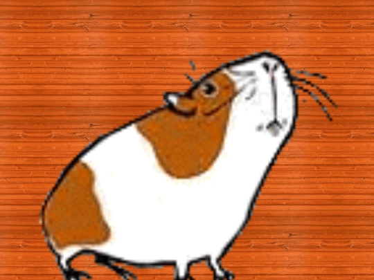 banner1 screenshot