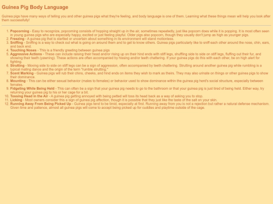 bodylang screenshot