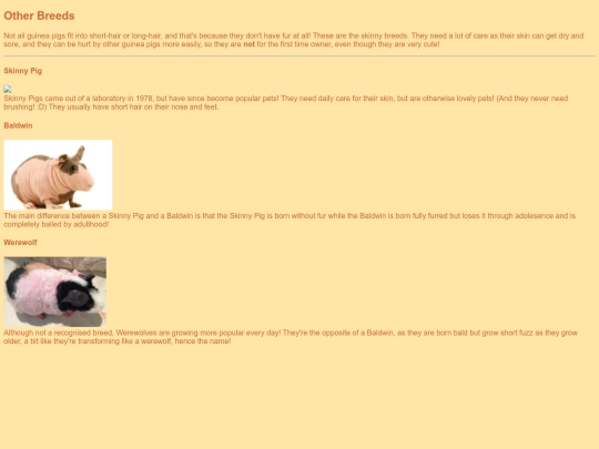 otherfur screenshot