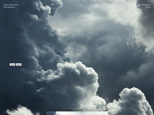 web screenshot