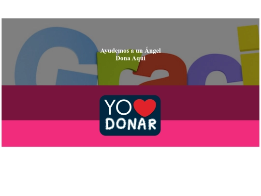 hechoporangeles/html/donar screenshot