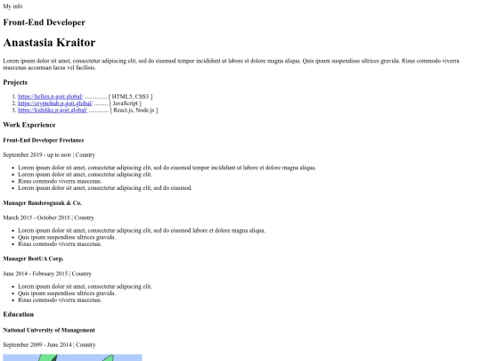 resume projeck screenshot