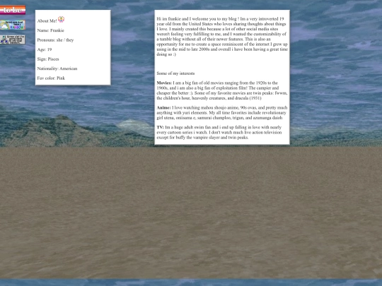 webmaster3 screenshot