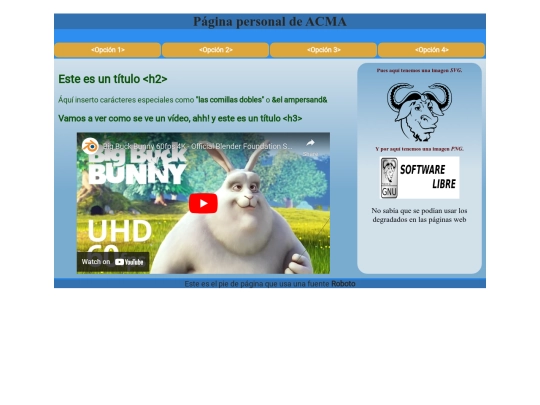 Ejer_obl_Mod2 screenshot