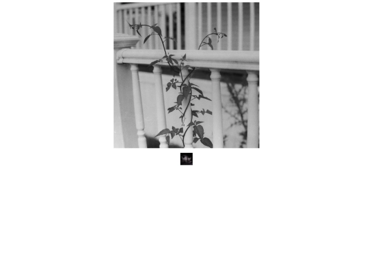 page7 screenshot