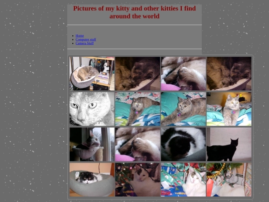 cats screenshot
