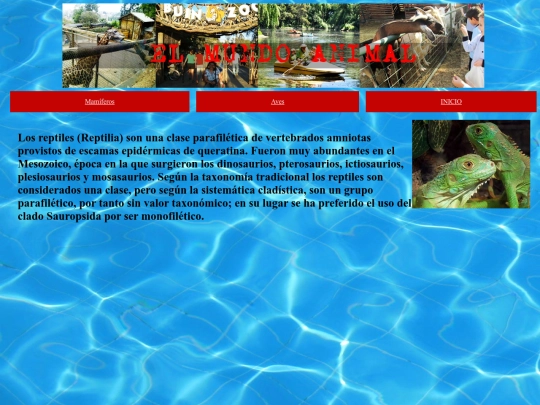 Reptiles screenshot