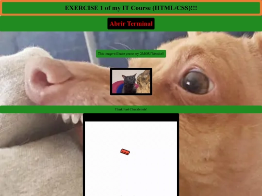 Exercise-1 screenshot
