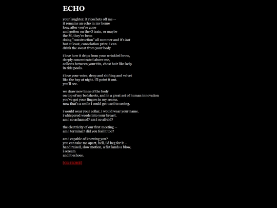 echo screenshot