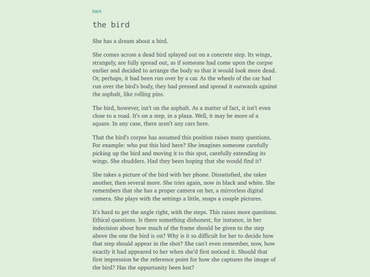 posts/bird screenshot