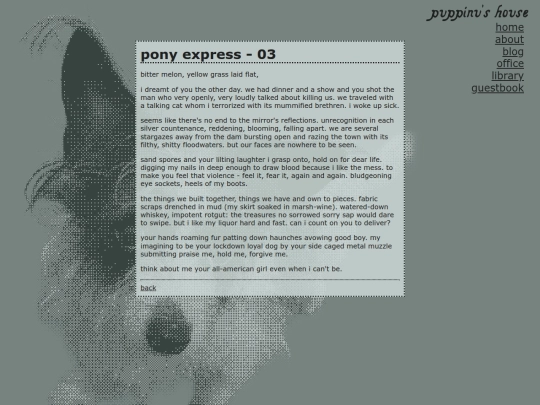 writing/ponyexpress/03 screenshot