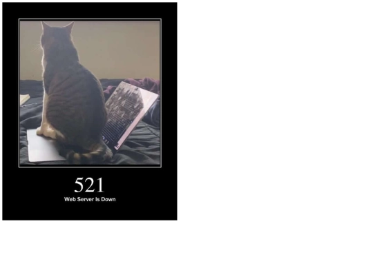 web_server_is_down screenshot