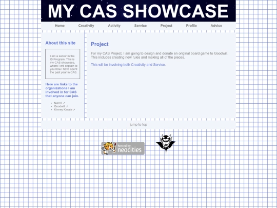 project screenshot