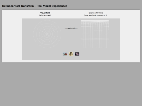 retino2 screenshot