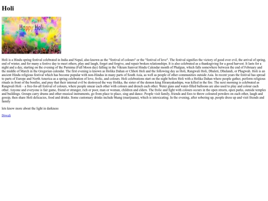 HOLI screenshot