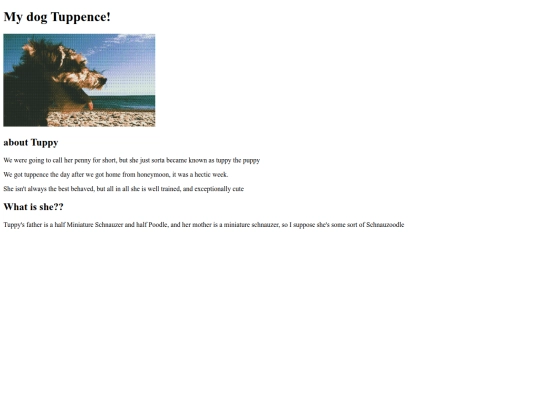 Pets/Tuppence screenshot