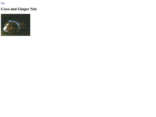 pets/cocoandginger screenshot
